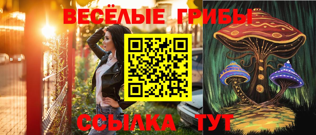 Галлюциногенные грибы GOLDEN TEACHER Апрелевка