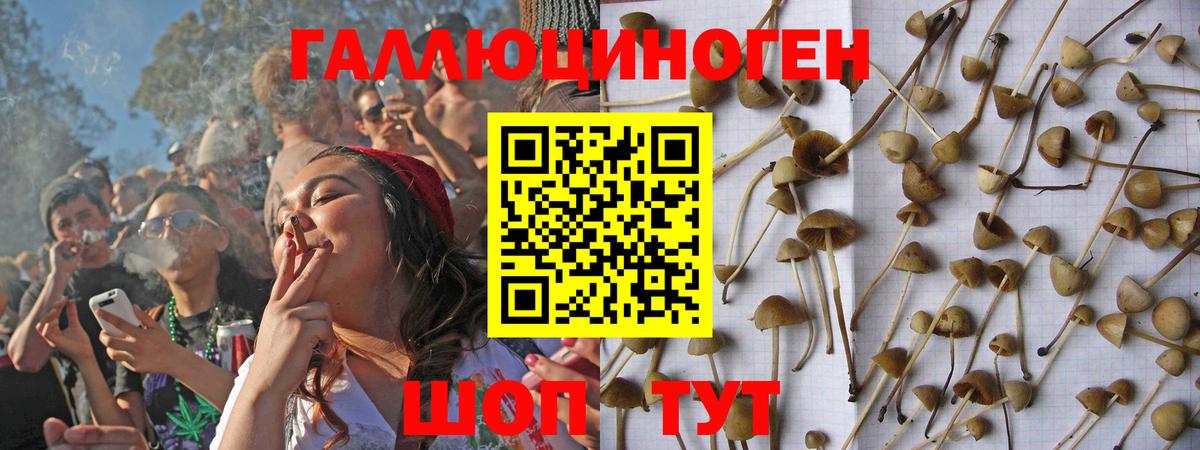 Псилоцибиновые грибы MAGIC MUSHROOMS  Вход с VPN  Апрелевка 